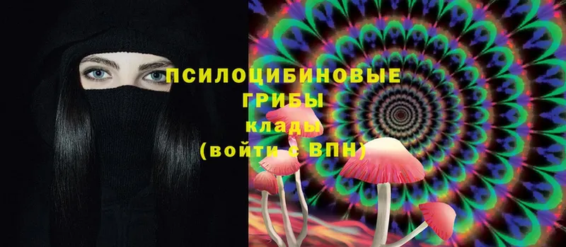 где найти   Краснообск  Галлюциногенные грибы MAGIC MUSHROOMS 